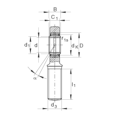 桿端軸承 GAL10-DO, 根據(jù) DIN ISO 12 240-4 標準，帶左旋外螺紋，需維護